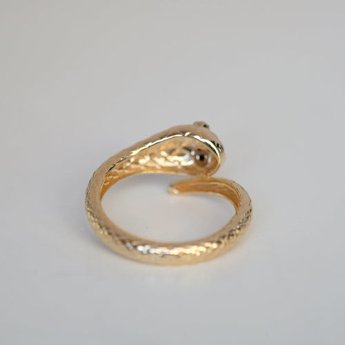 Gold Ring with Black spinal